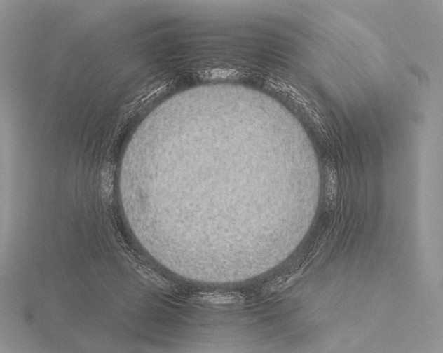 X0000115150545200912081349