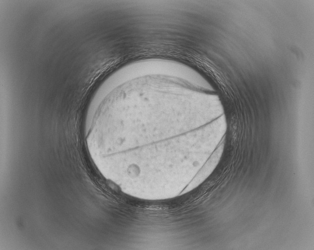 X0000115150546200912081349