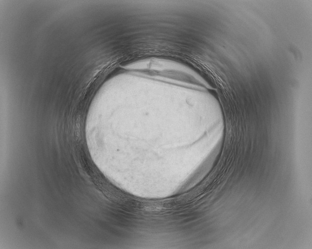 X0000115150547200912081349