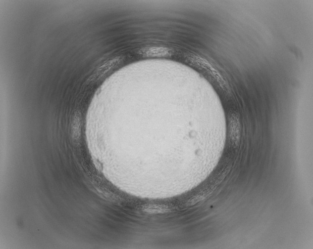 X0000115150549200912081349