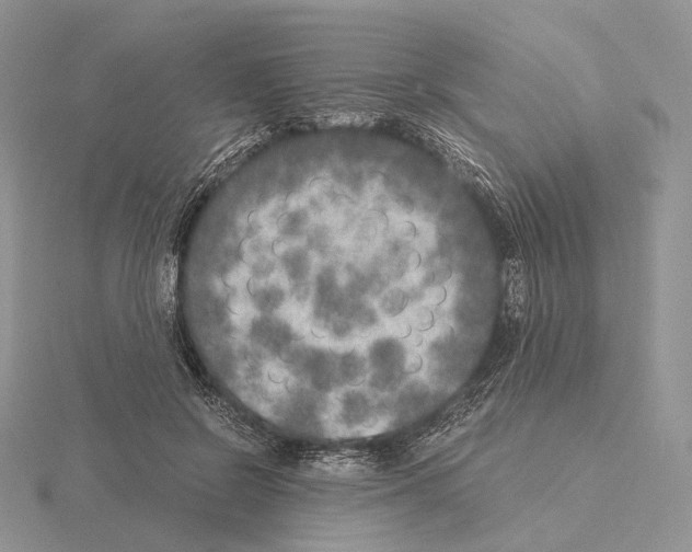 X0000115150550200912081349