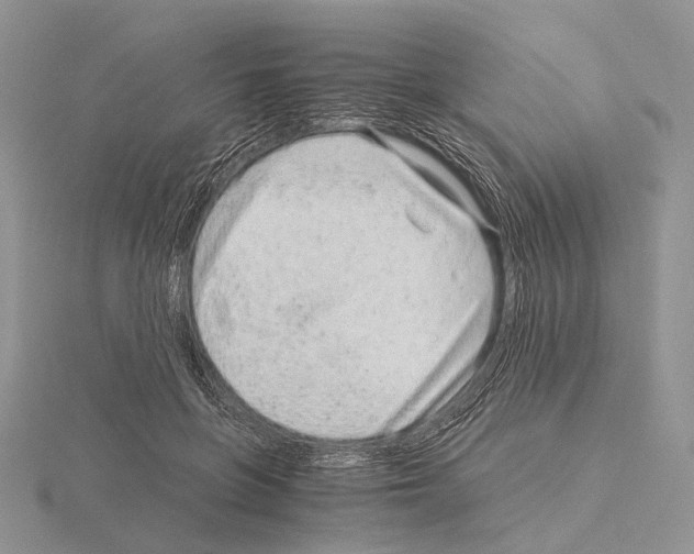 X0000115150551200912081349