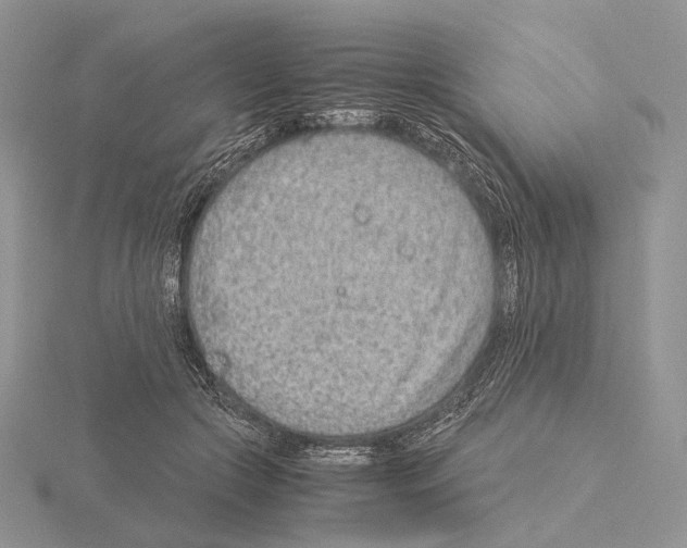 X0000115150553200912081349