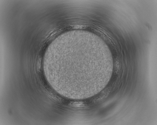 X0000115150554200912081349