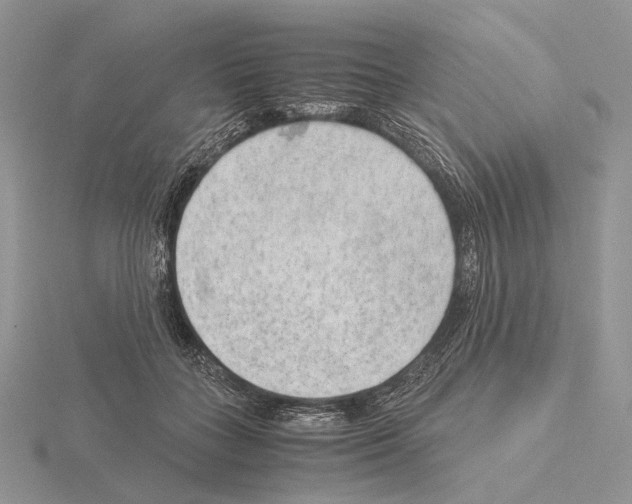 X0000115150555200912081349