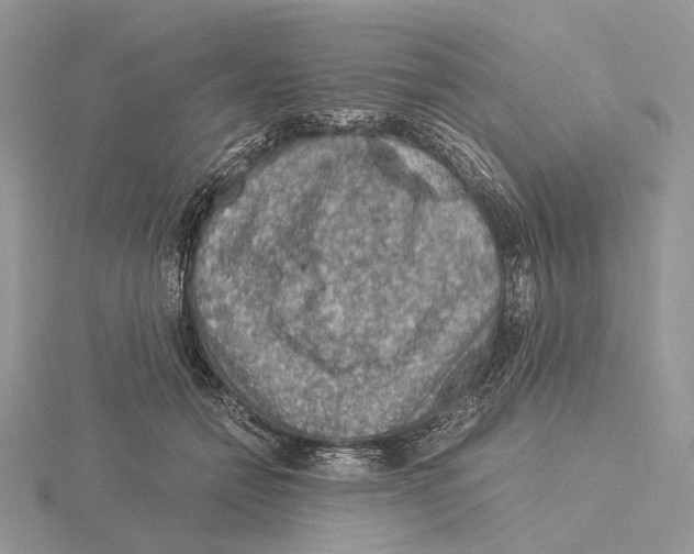 X0000115150558200912081349