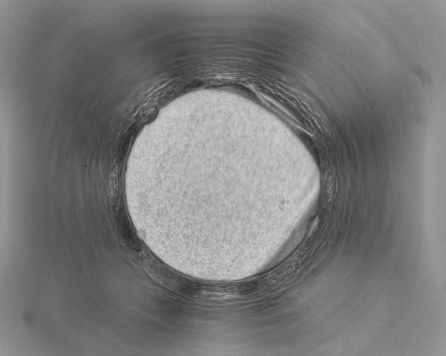 X0000115150559200912081349