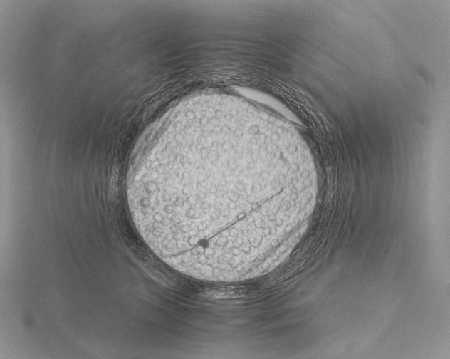 X0000115150563200912081349