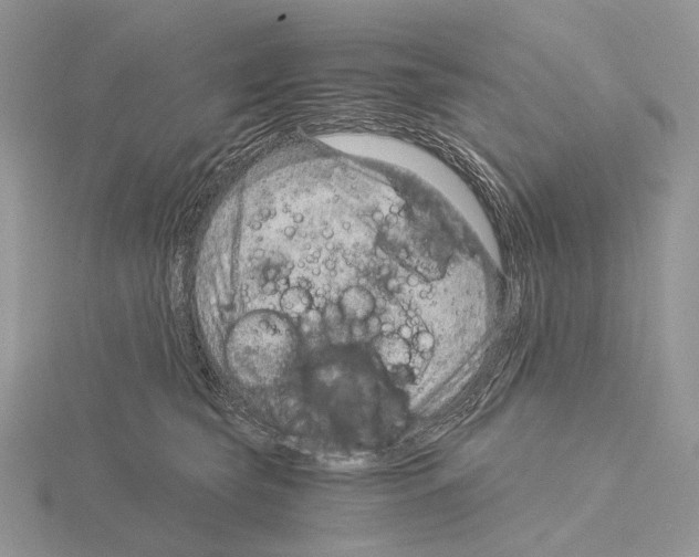 X0000115150565200912081349