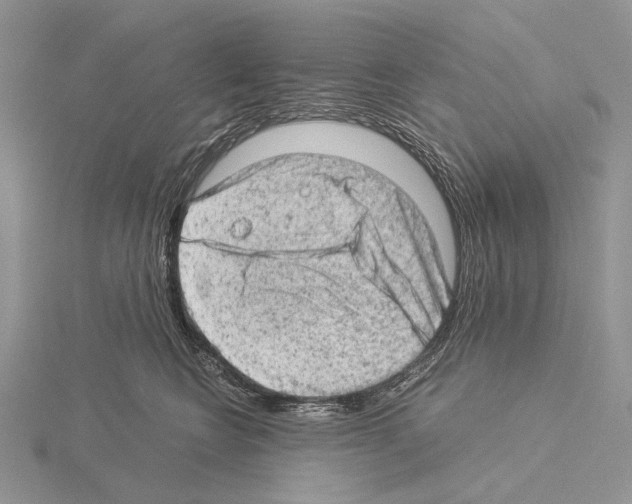 X0000115150566200912081349