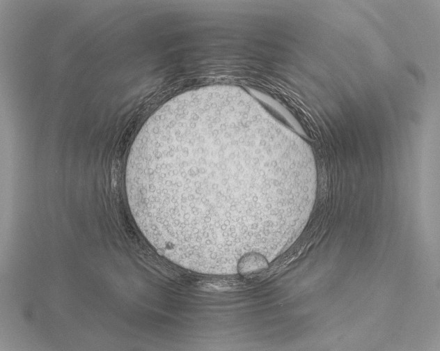 X0000115150567200912081349