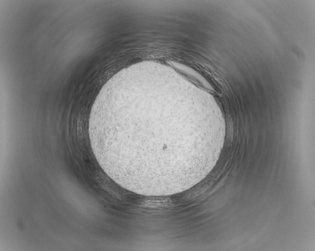 X0000115150571200912081349