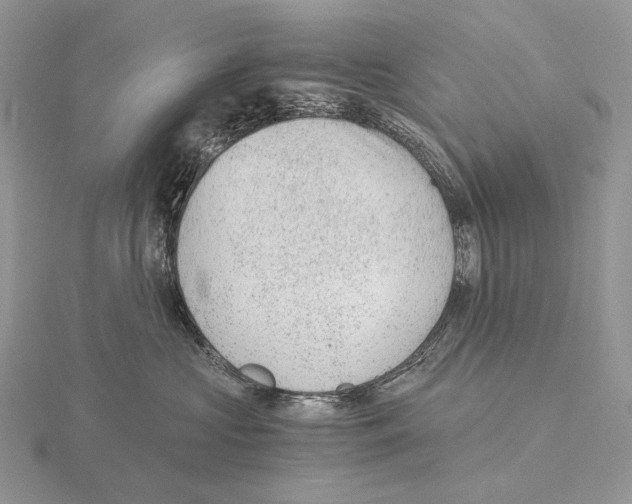 X0000115150573200912081349