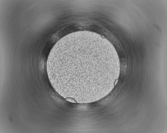 X0000115150574200912081349