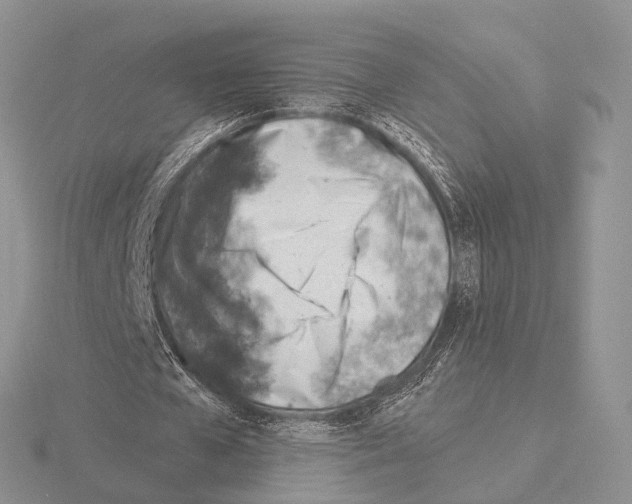 X0000115150577200912081349