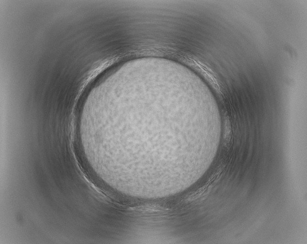 X0000115150578200912081349