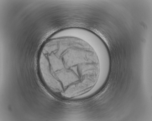 X0000115150581200912081349