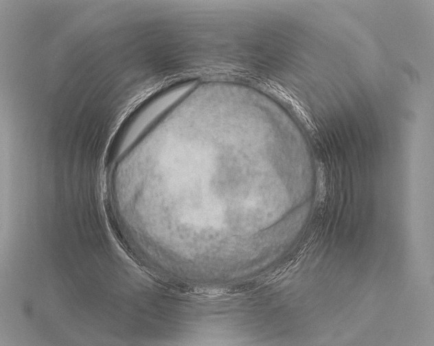 X0000115150582200912081349