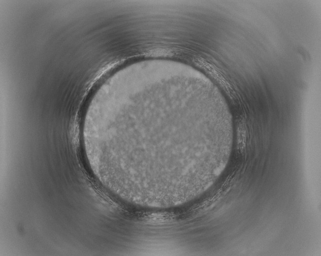 X0000115150584200912081348