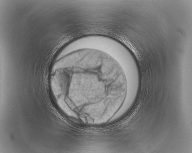 X0000115150585200912081348