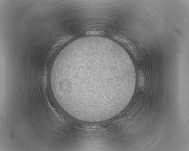 X0000115150586200912081348