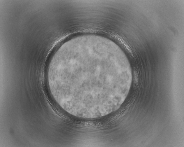 X0000115150588200912081348