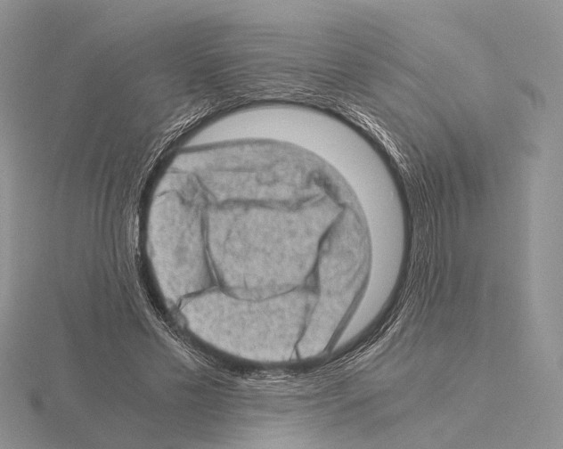 X0000115150589200912081348