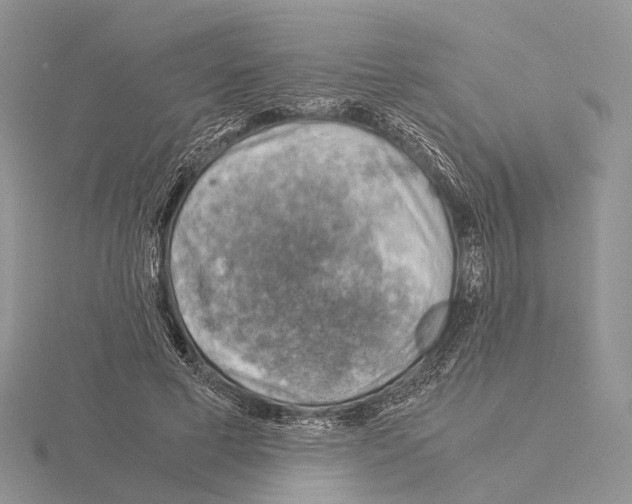 X0000115150593200912081348