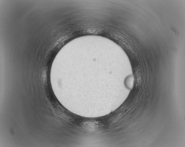 X0000115150595200912081348