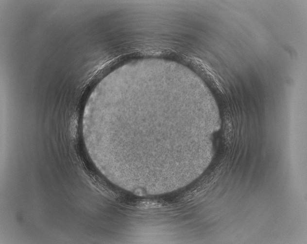 X0000115150596200912081348