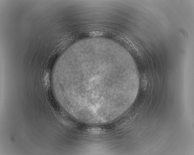 X0000115150598200912081348