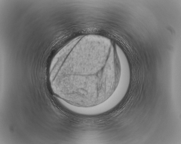 X0000115150599200912081348