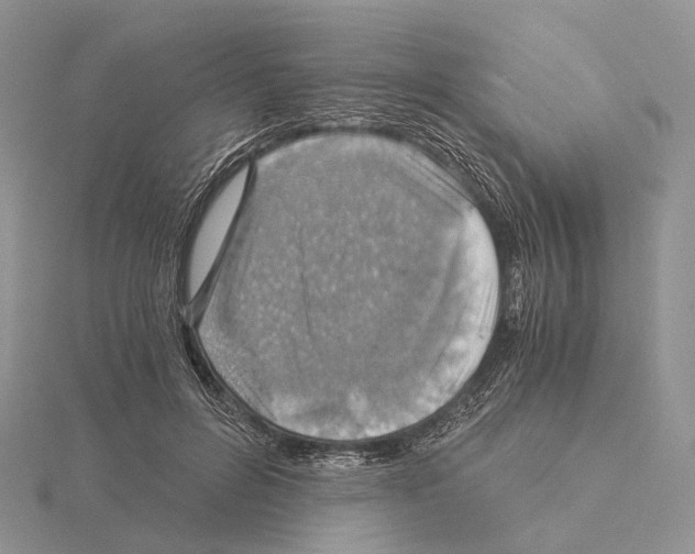 X0000115150600200912081348