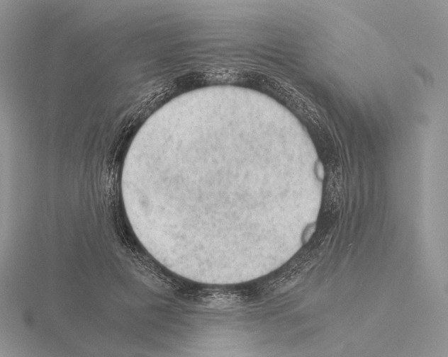 X0000115150601200912081348