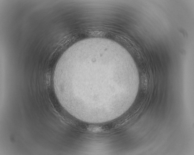 X0000115150602200912081348