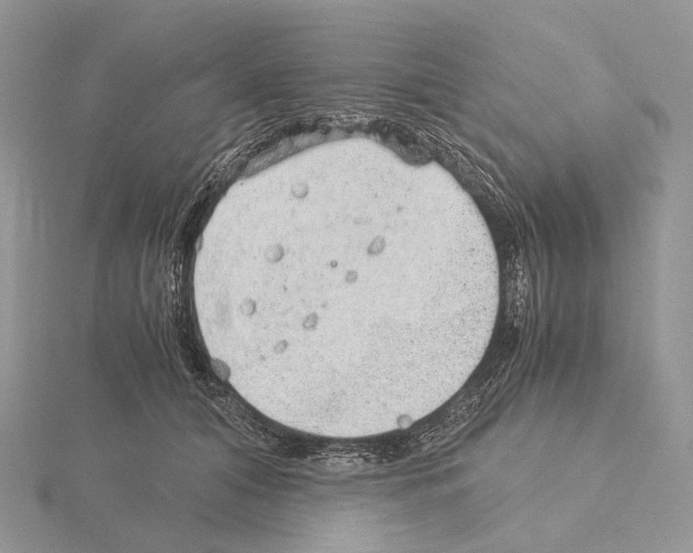 X0000115150608200912081348