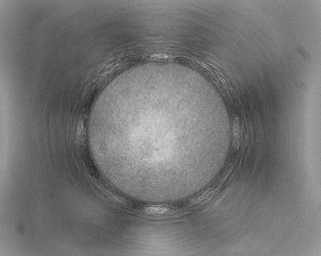 X0000115150614200912081348