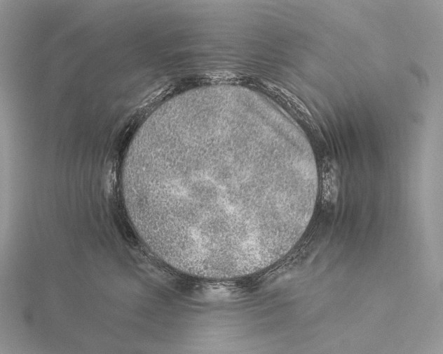 X0000115150618200912081348