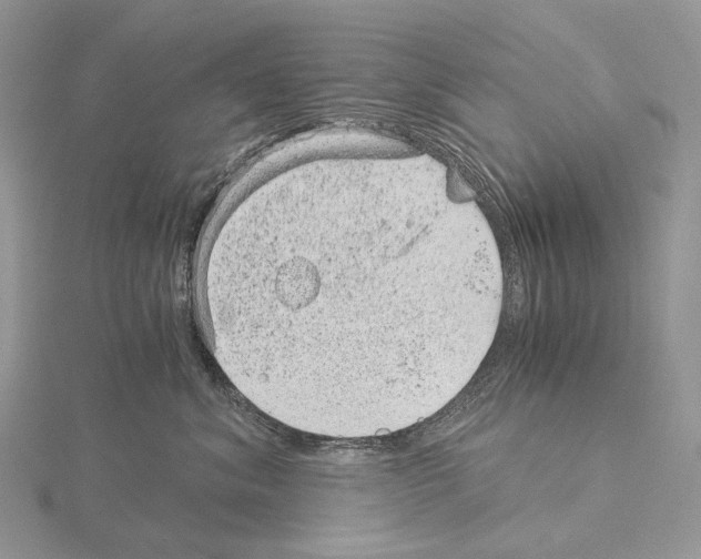 X0000115150620200912081348