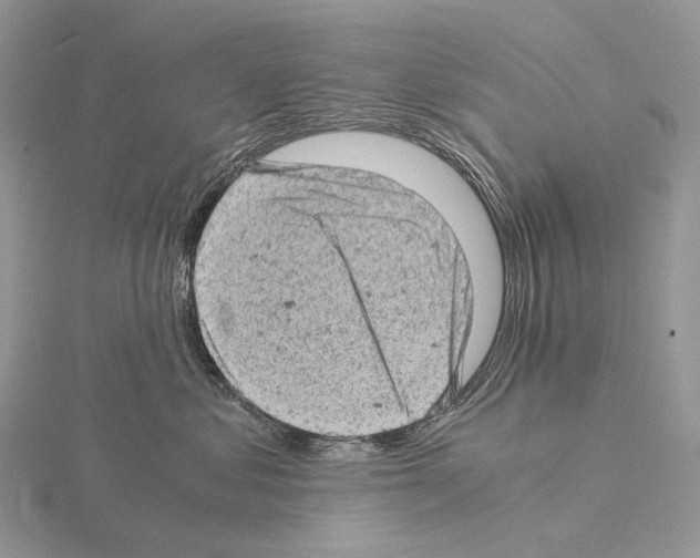 X0000115150621200912081348