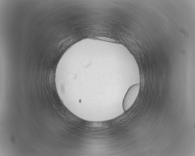 X0000115150623200912081348