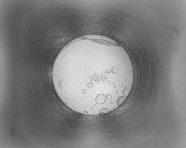 X0000115150624200912081348