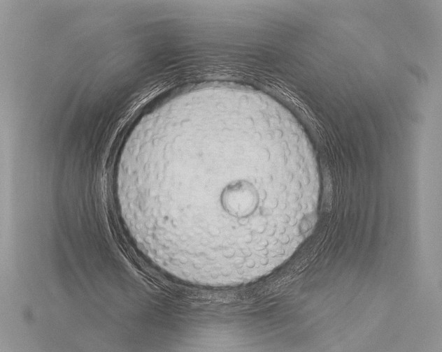 X0000115150626200912081347