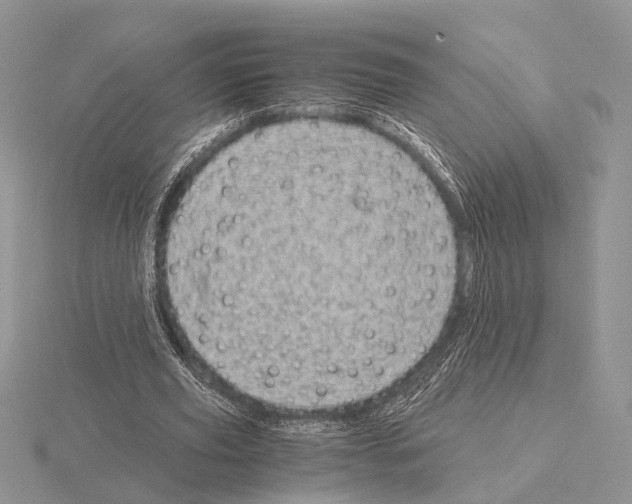 X0000115150629200912081347