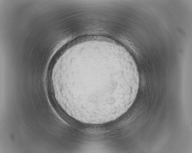 X0000115150630200912081347