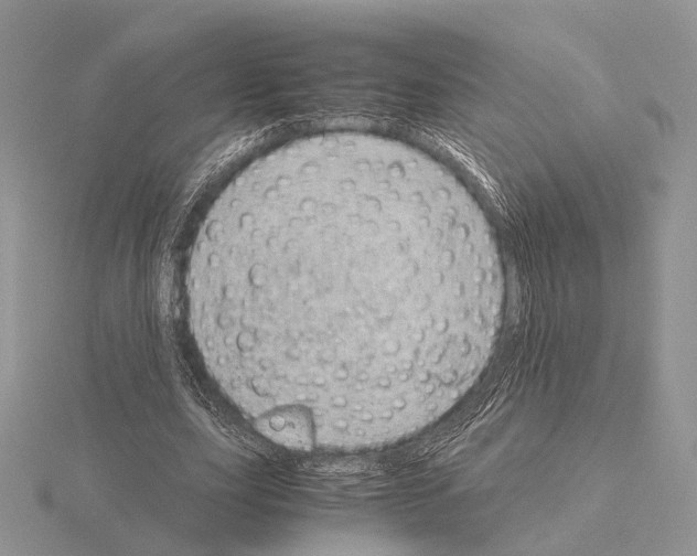 X0000115150631200912081347