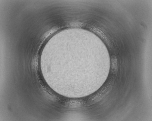 X0000115150632200912081347