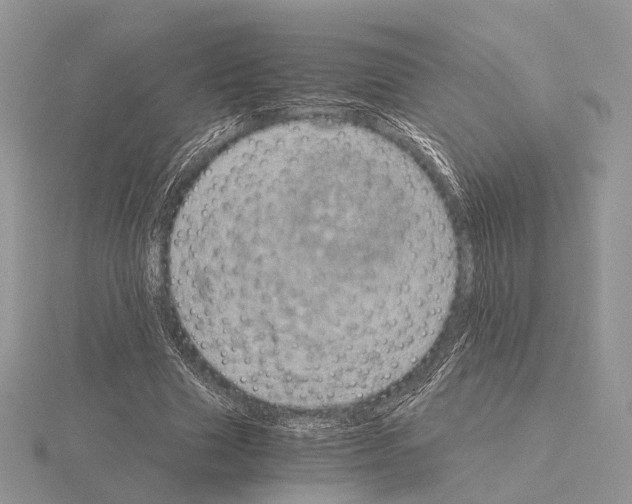 X0000115150633200912081347