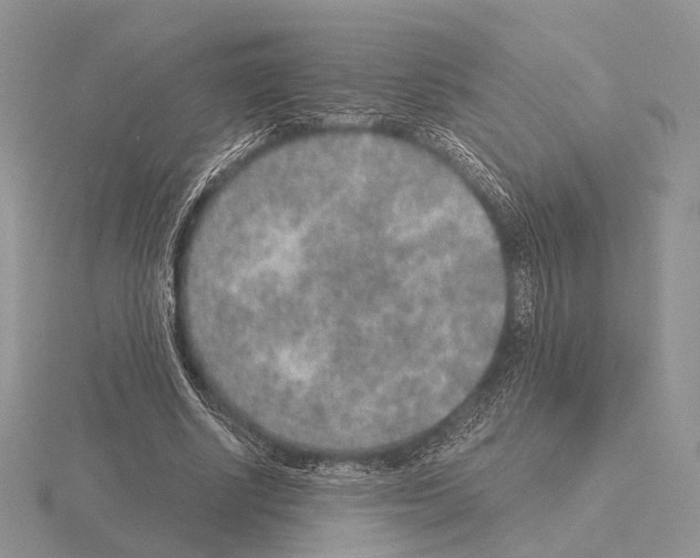 X0000115150634200912081347