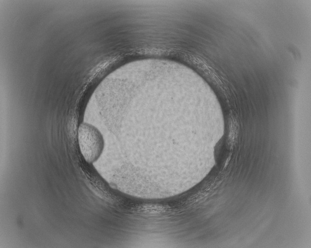 X0000115150636200912081347